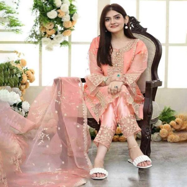 Women's Stitched Organza Embroidered Suit