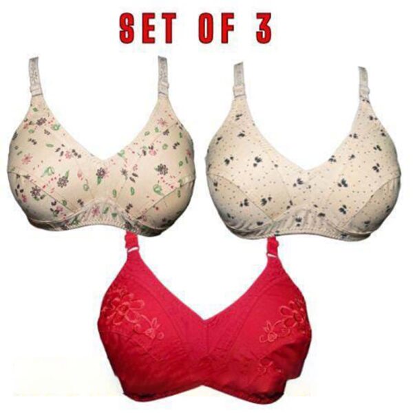 Winter Printed Cotton Jursy & Half Cup Embroidery Bra (Set Of 3)